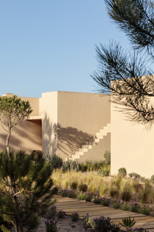 peluche74 comunità creativa portogallo 30