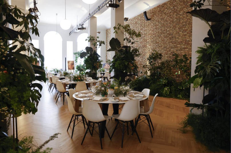 plush74 curio house 10