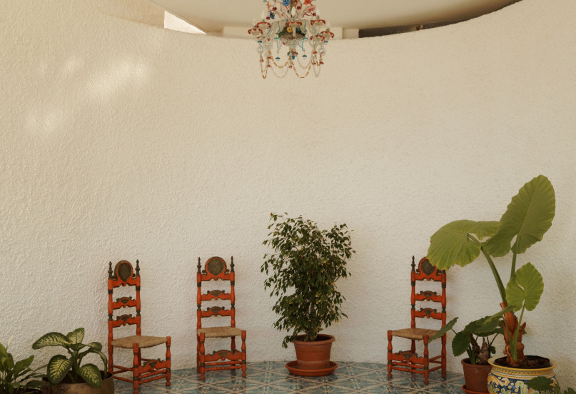 felpa74 damalisco 15(1)