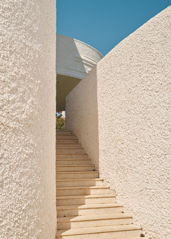 felpa74 damalisco 20