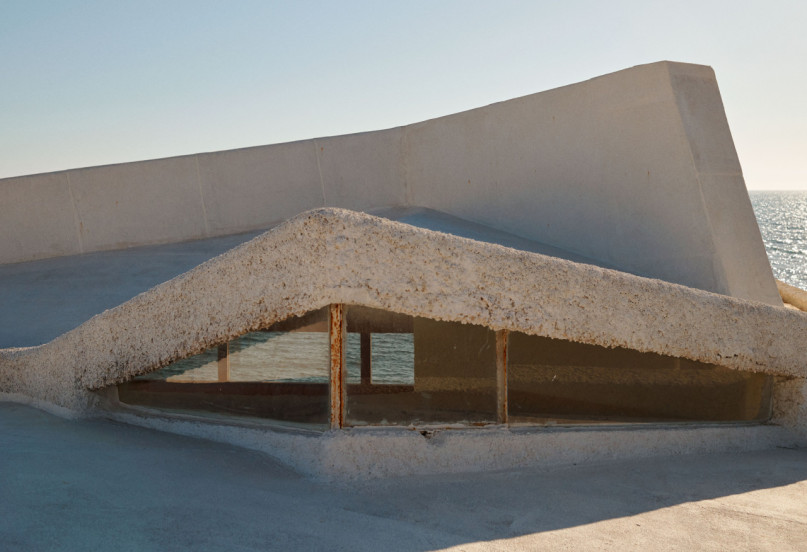 felpa74 damalisco 24(1)