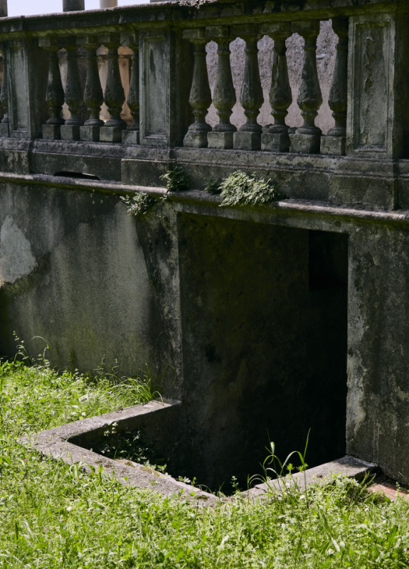 plush74 damalisco 25