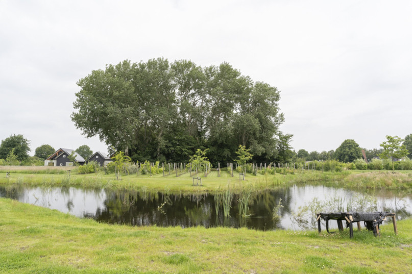 plush74 design studio niederlande 46 (1)