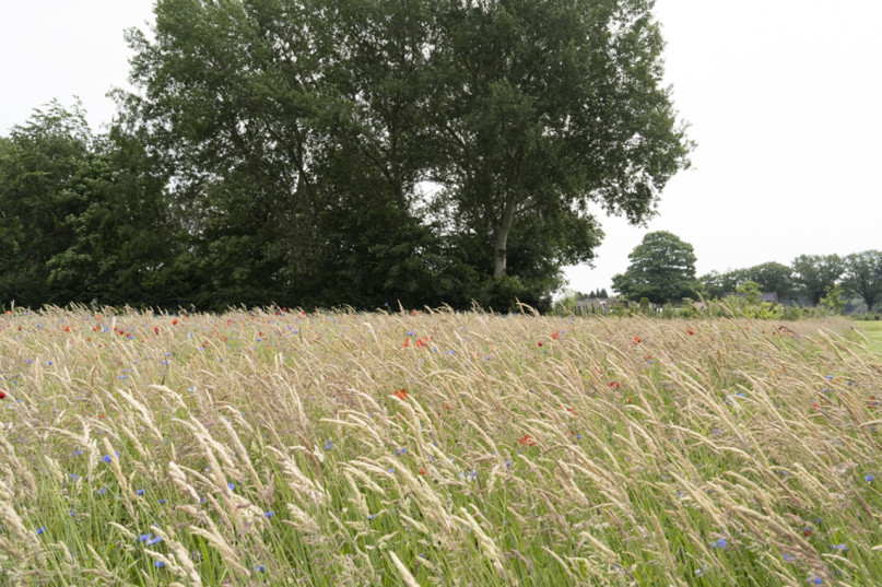 plush74 design studio niederlande 86