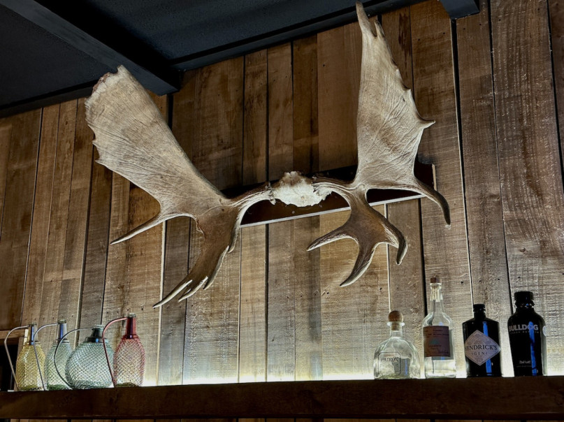 felpa74 dominio baretous 16