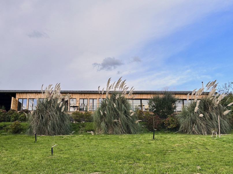 felpa74 dominio baretous 28