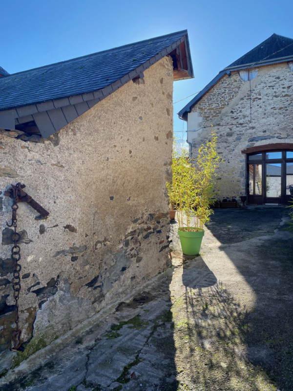 felpa74 dominio baretous 29