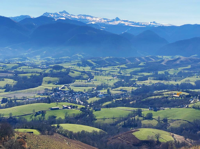 felpa74 dominio baretous 4