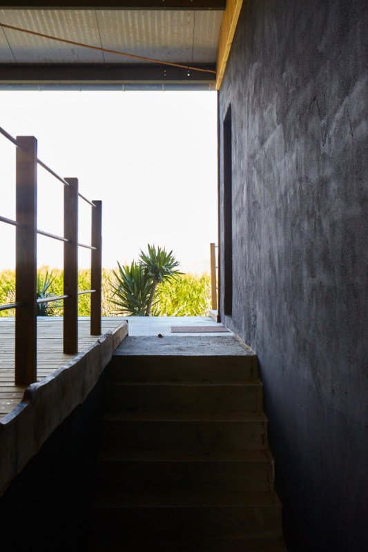 felpa74 dominio baretous 41