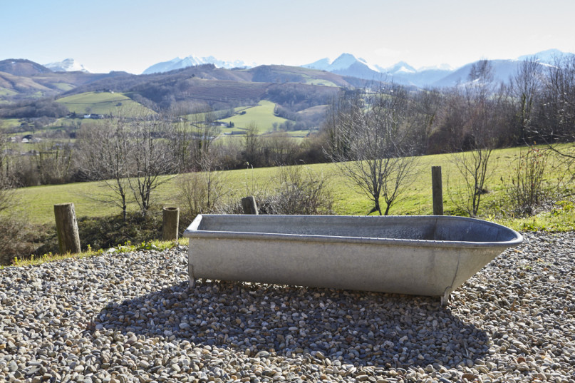 felpa74 dominio baretous 44