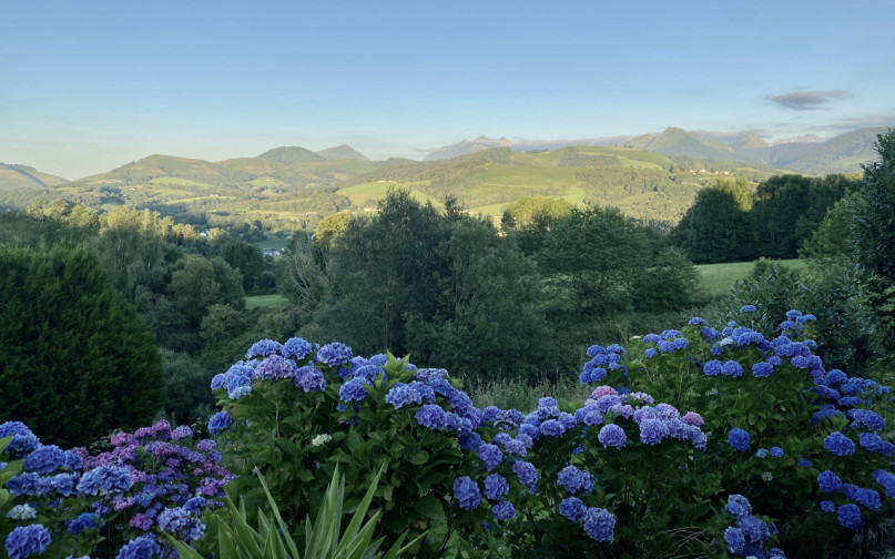 felpa74 dominio baretous 65