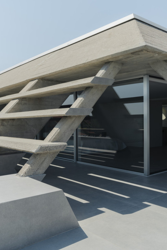 plush74 drimia 27(1)