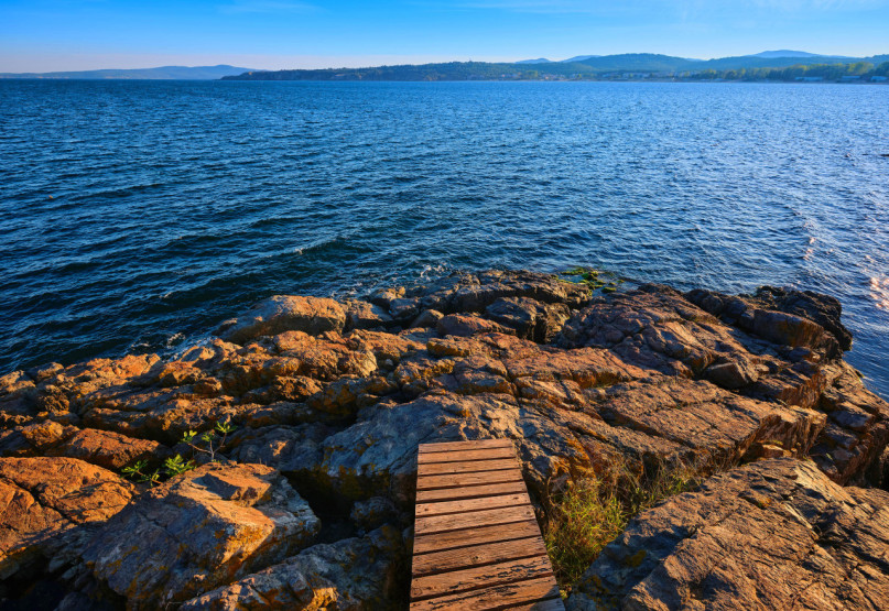 plush74 en181 17 (3)