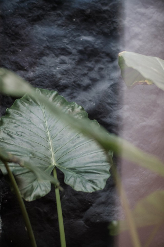 pluche74 film foto evenement hotel griekenland00010