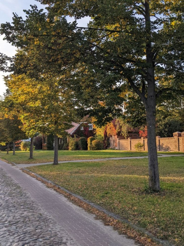 peluche74 película foto lugar del evento berlín alemania 00023