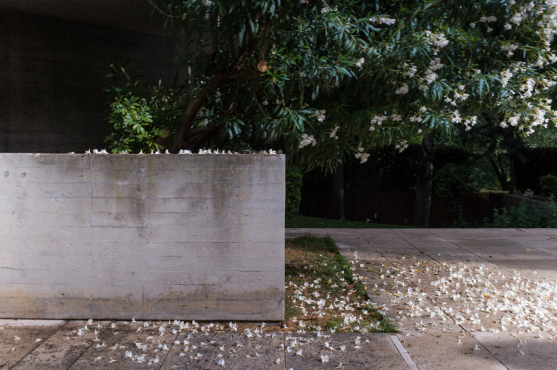 felpa74 película foto evento lugar alemania berlín villa32