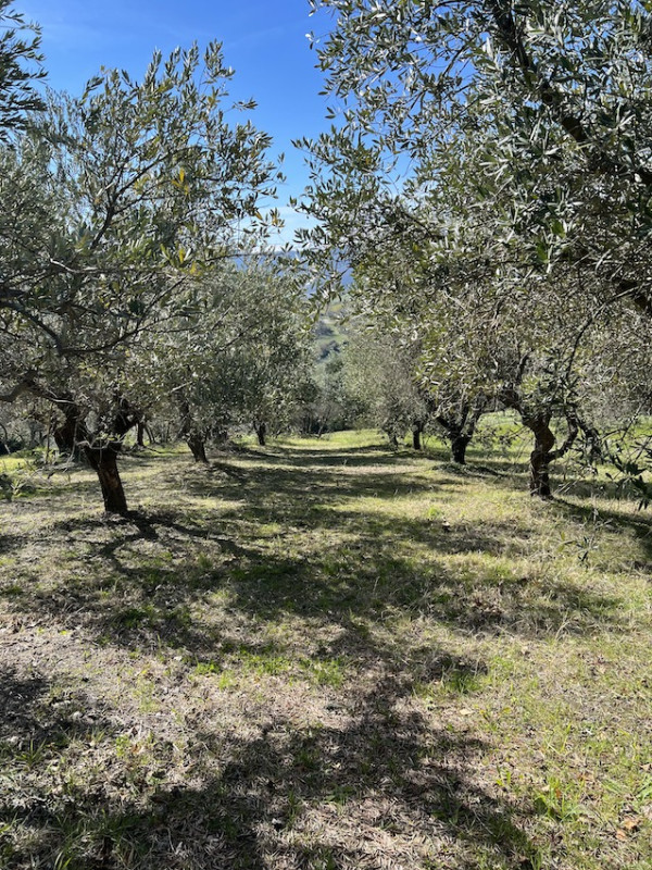 plush74 film photo event location italy villa 38