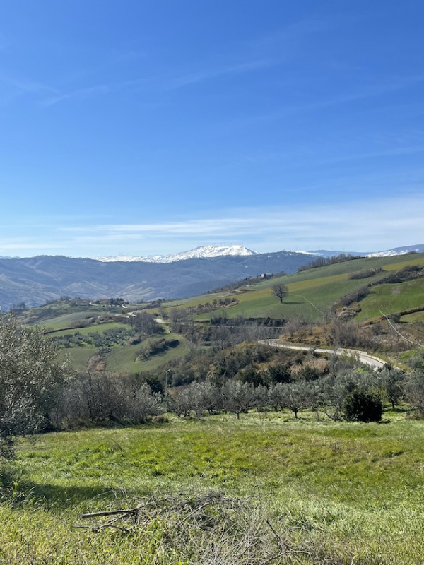 plush74 film photo event location italy villa 40