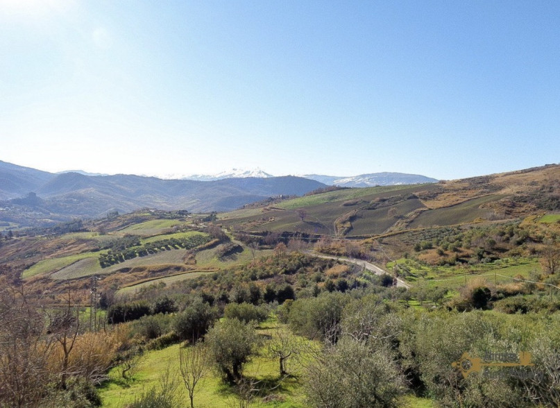 plush74 film photo event location italy villa 74