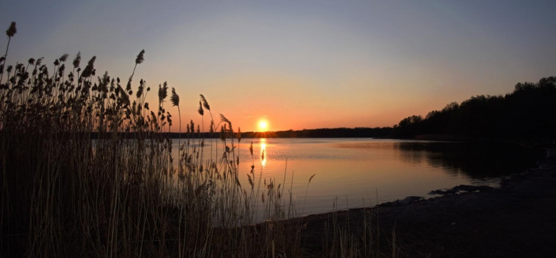 plush74 film photo event location lido lake nature rangsdorf germany81 (2)