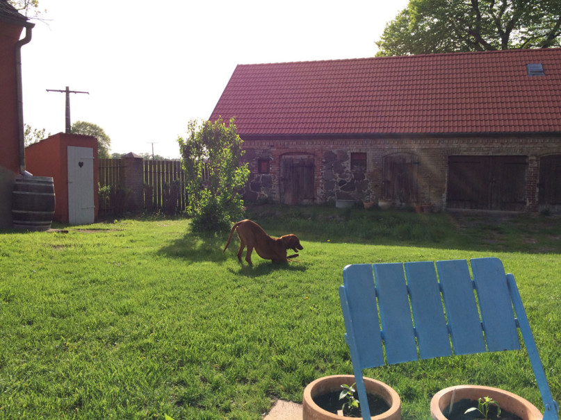 plush74 film photo event location uckermark germany farmhouse 19