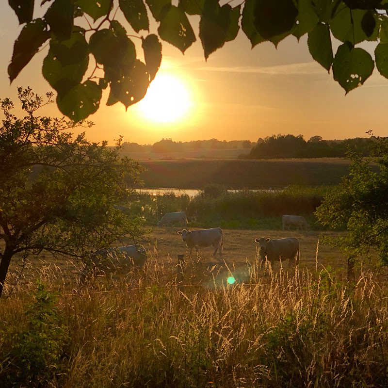 plush74 film photo event location uckermark germany farmhouse 24