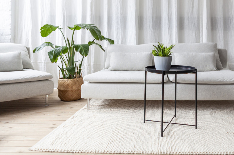 plush74 film photo shooting location scouting berlin event space studio clean hamburg minimalistic13