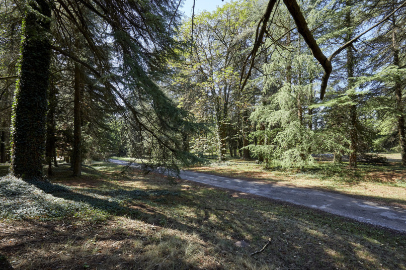 plush74 finca e1 9 (1)