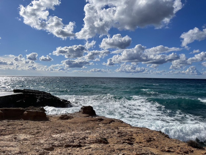 plush74 fischbuden ibiza 10