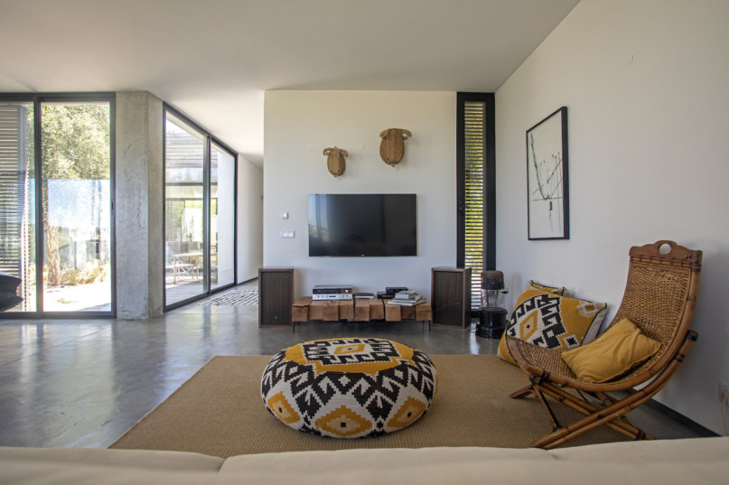 peluche74 ritiro di formosa 10(1)