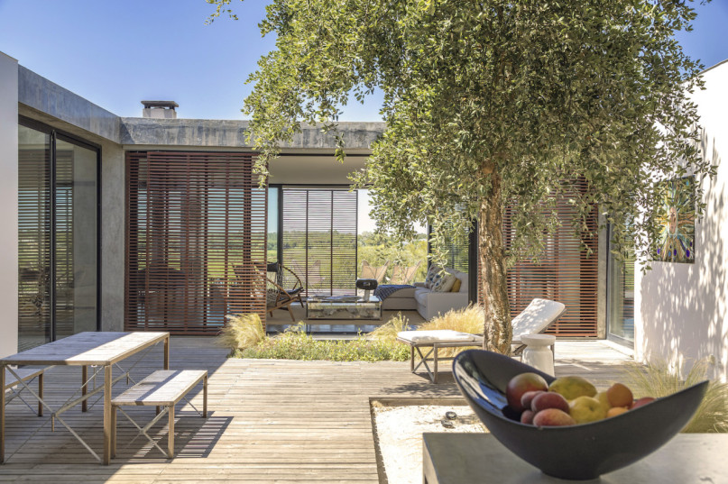 peluche74 ritiro di formosa 11(1)