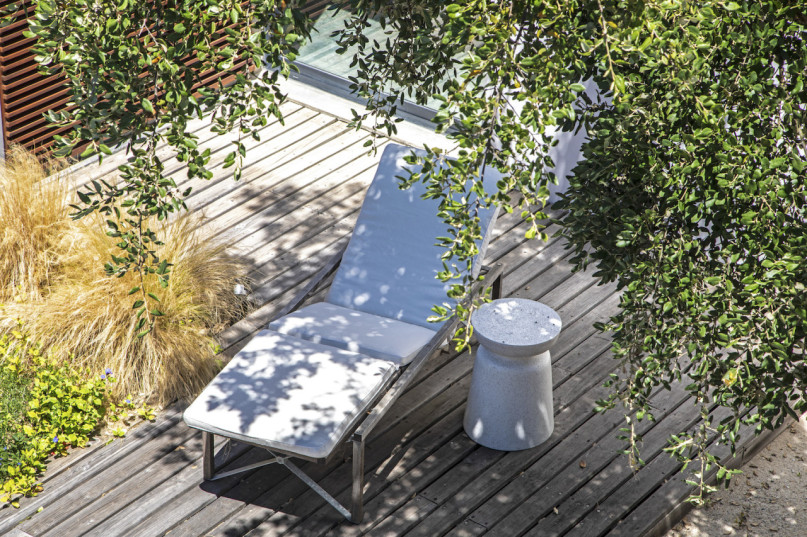 peluche74 ritiro di formosa 14(1)