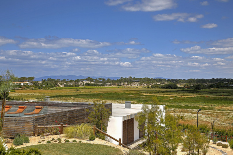 peluche74 ritiro di formosa 18(1)