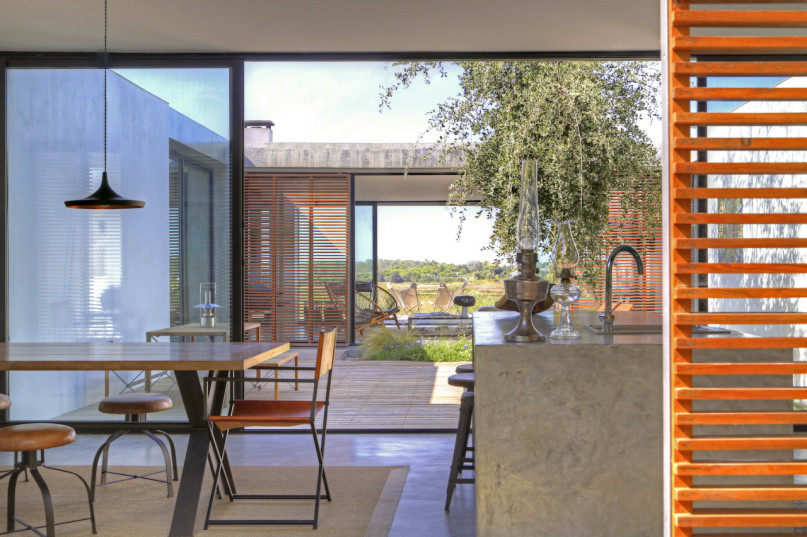 peluche74 ritiro di formosa 24(1)