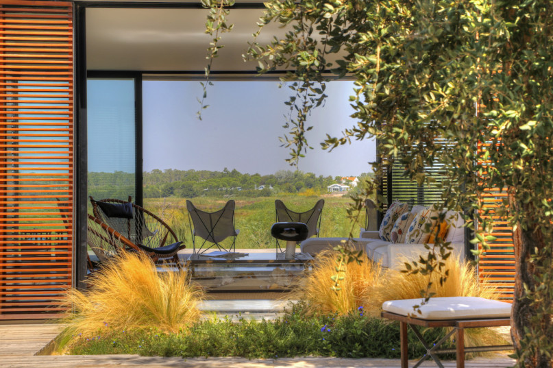 peluche74 ritiro di formosa 25(1)