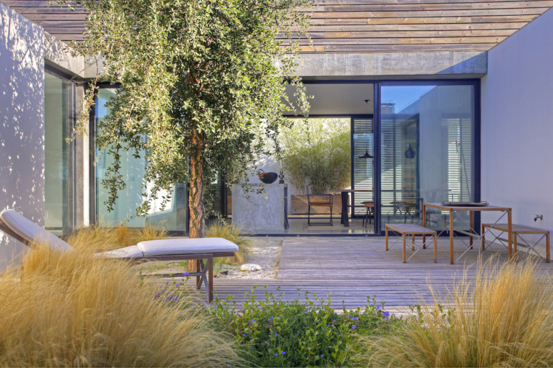 peluche74 ritiro di formosa 26(1)