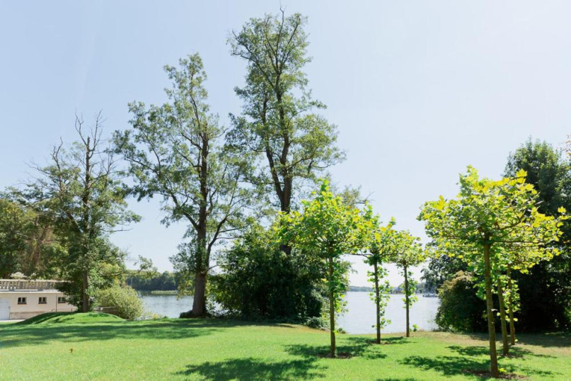 plush74 garden castle 25