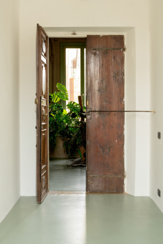 plush74 gattopardo 21 (1)