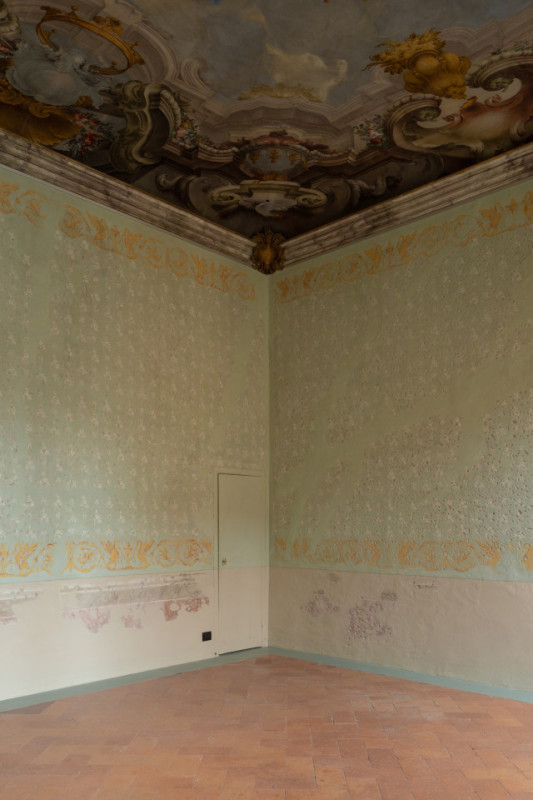 plush74 gattopardo 8