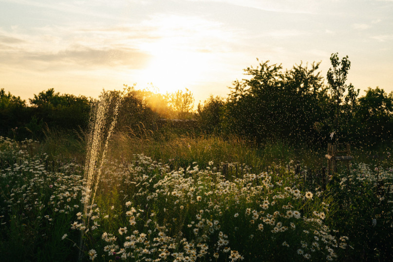 plush74 glass house 39 (1)