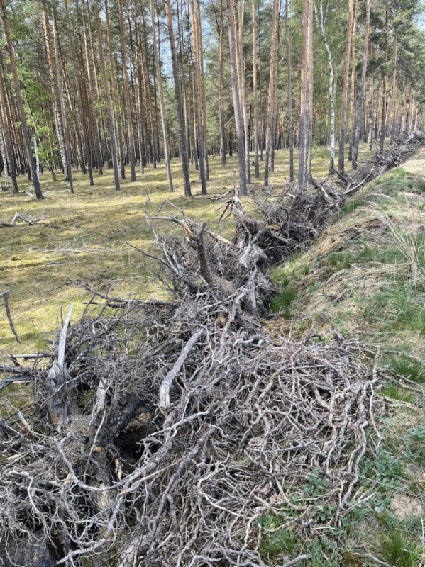 plush74 gravel pit berlin 27