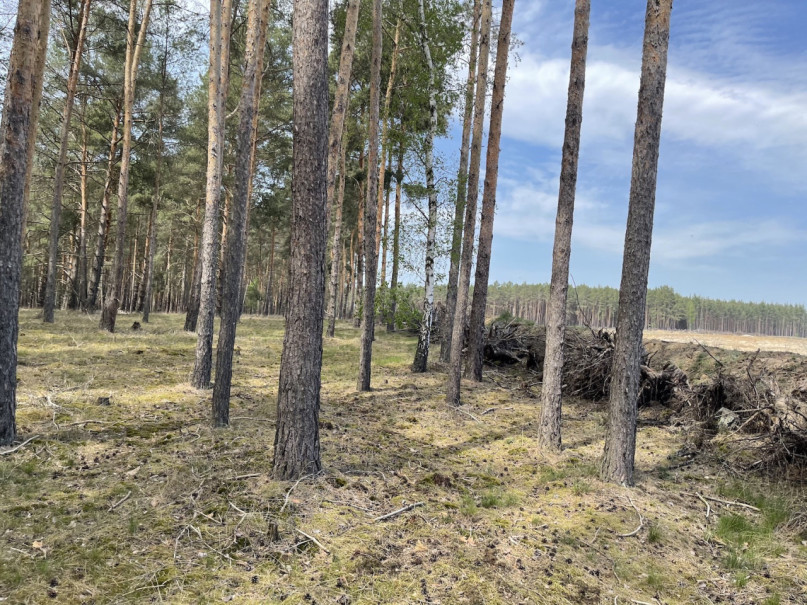 plush74 gravel pit berlin 29 (1)