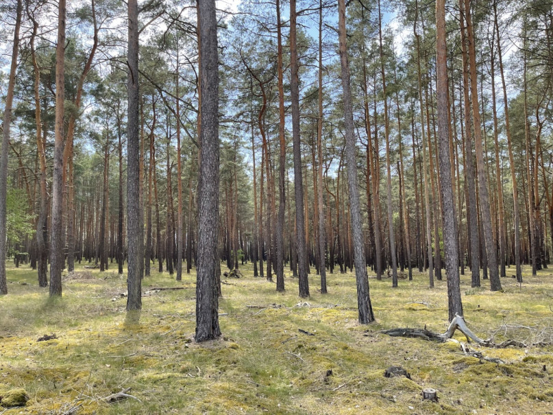 plush74 gravel pit berlin 30 (1)