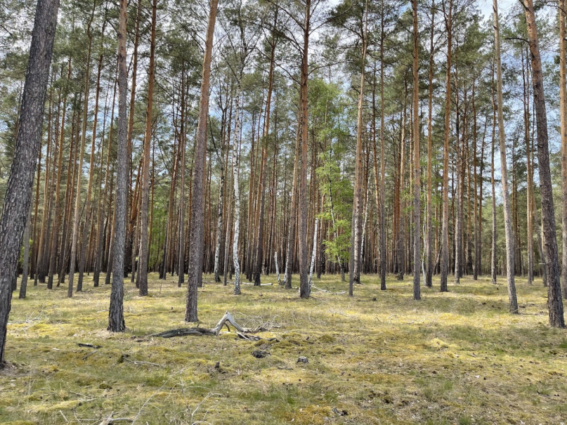 plush74 gravel pit berlin 32 (1)