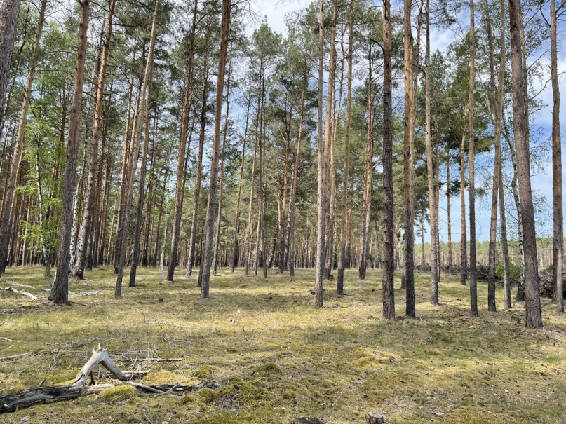 plush74 gravel pit berlin 32 (2)