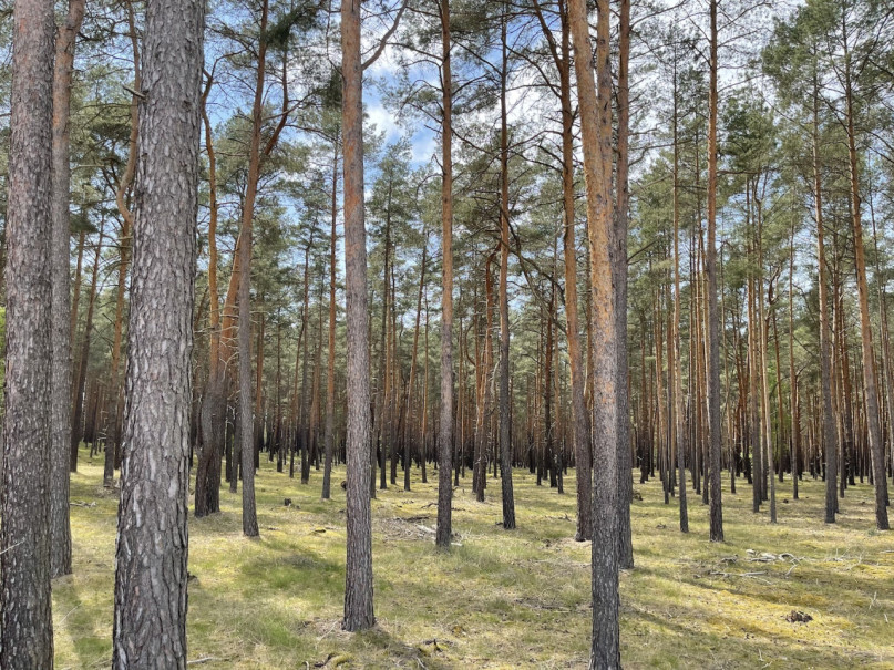 plush74 gravel pit berlin 32