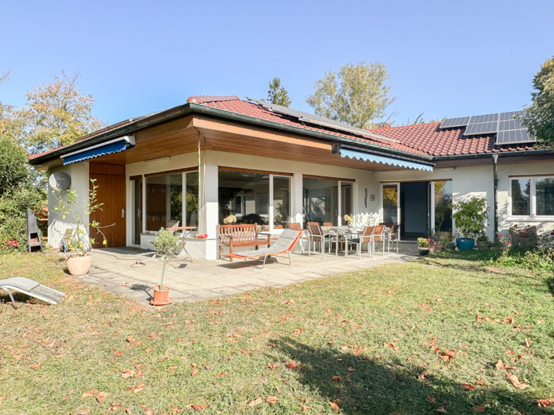 felpa74 haus sólo 10