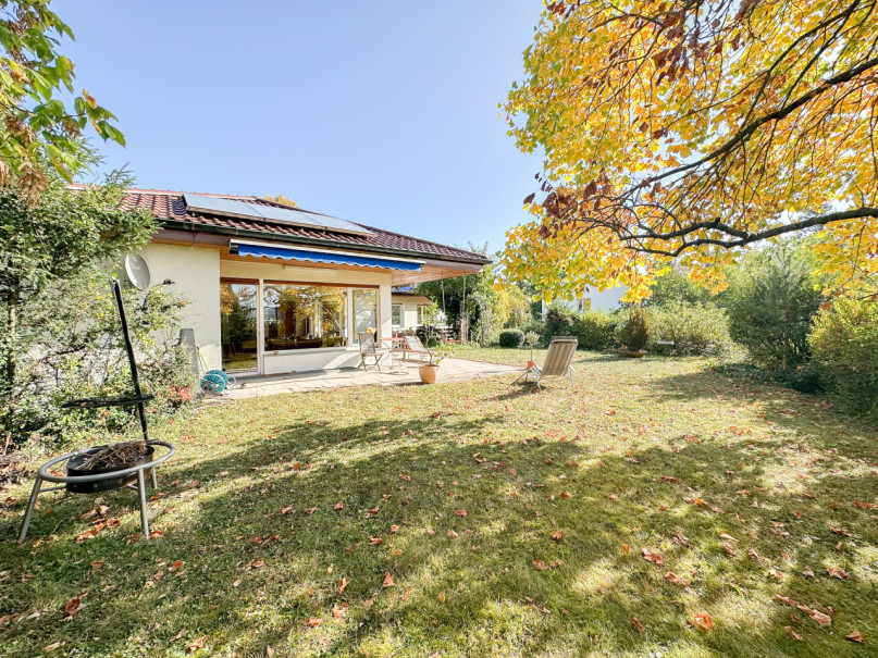 felpa74 haus sólo 11