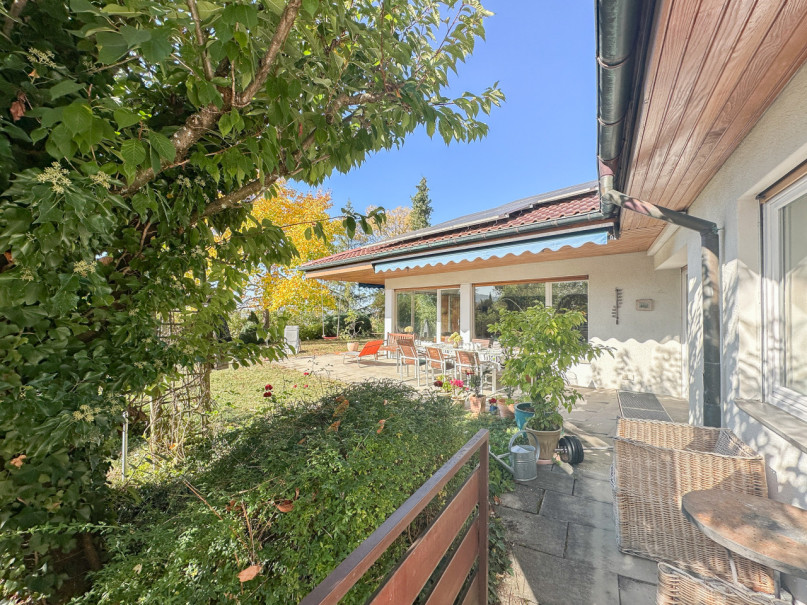 felpa74 haus sólo 12