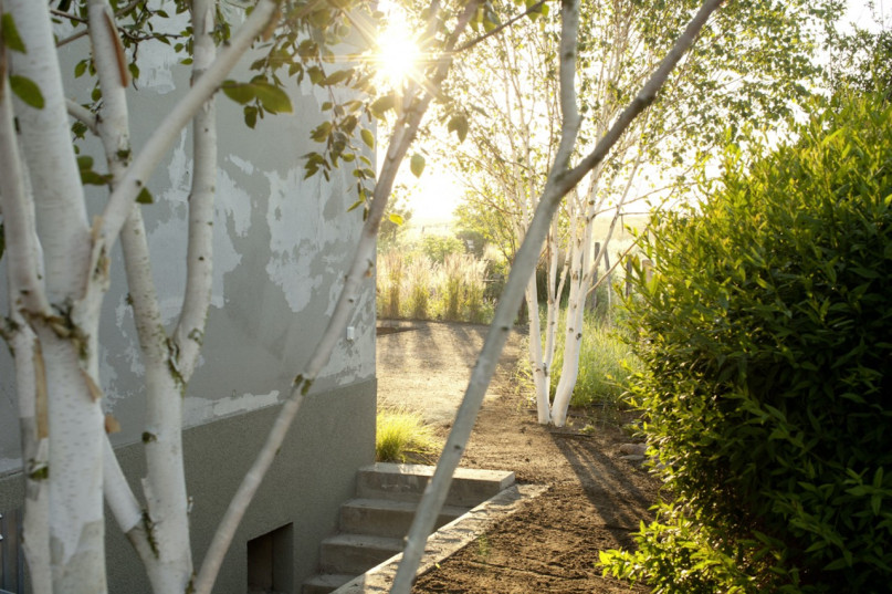 plush74 house modern architecture berlin brandenburg location rental agency scout film photo 2